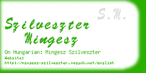 szilveszter mingesz business card